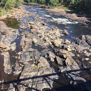 Meet your Posher, Janelle